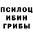 Галлюциногенные грибы MAGIC MUSHROOMS tutoriali
