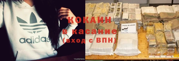 твердый Алексин