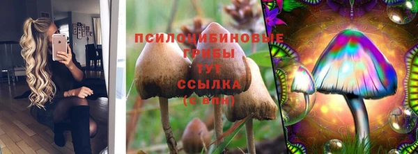 круглые Алзамай