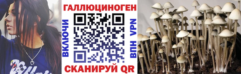как найти закладки  кракен зеркало  Галлюциногенные грибы Magic Shrooms  Ижевск 